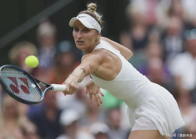 今年的新秀 今年的新秀