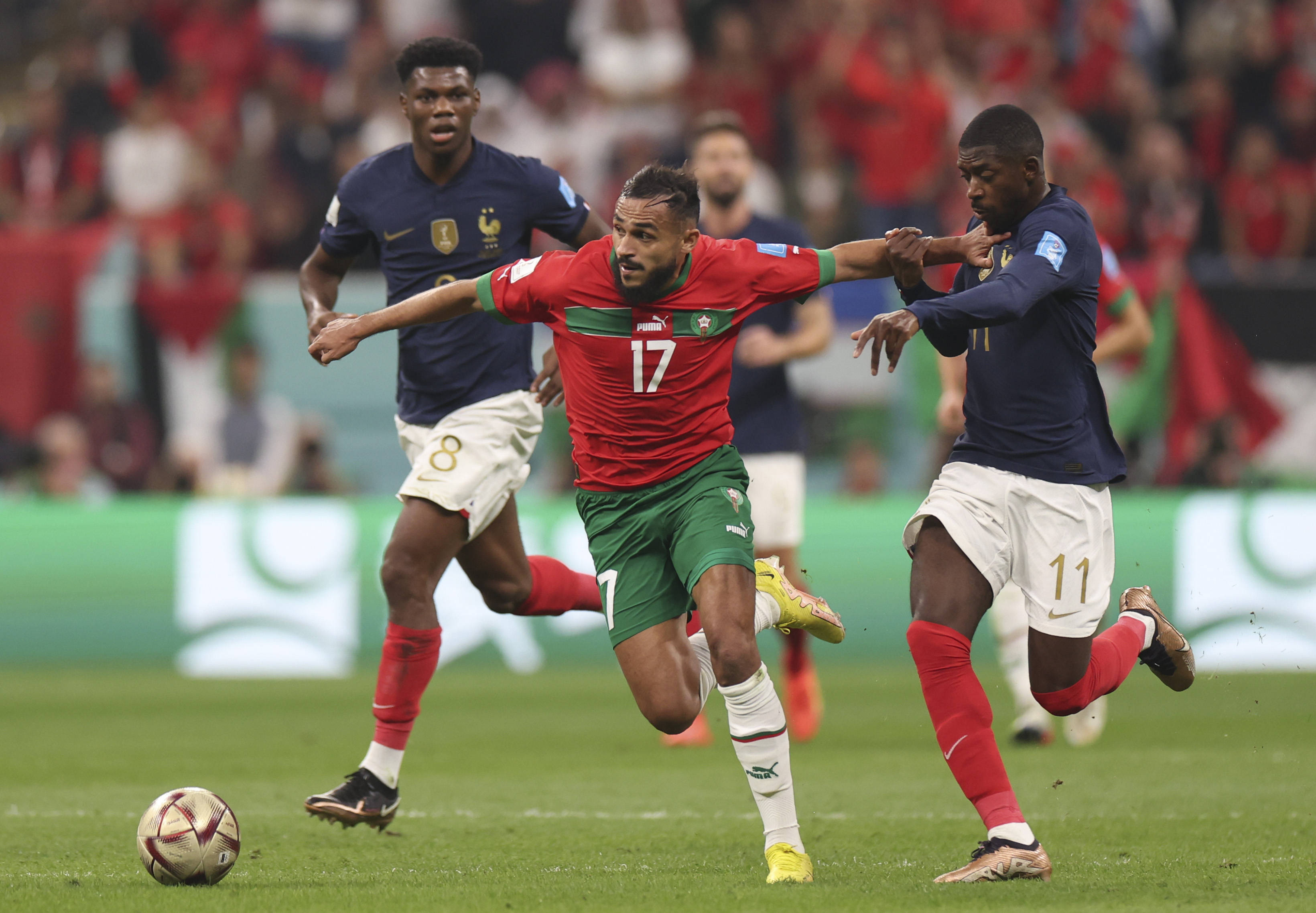 除了吉祥物 除了吉祥物