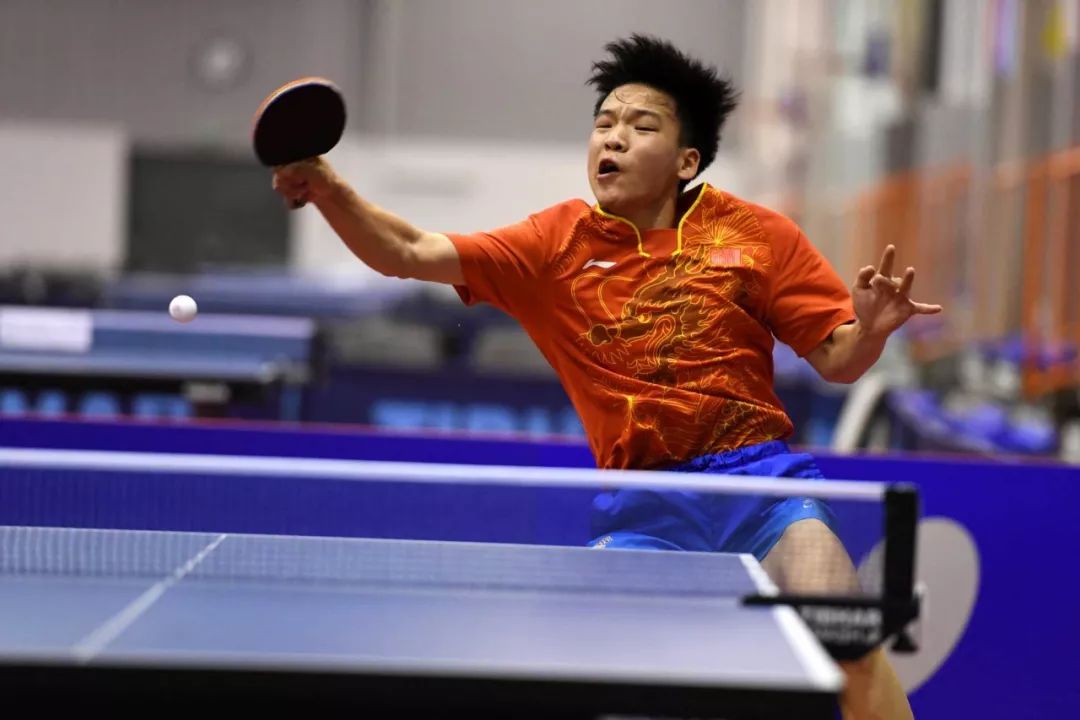 增添了新的 增添了新的